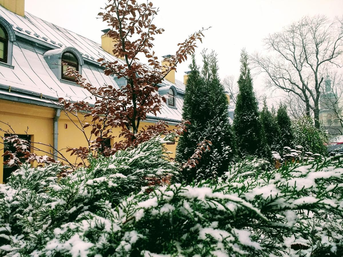 Guest House "Arkhistratyg" Leopoli Esterno foto